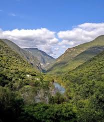 Tu respeto, tu estilo