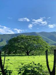 Seguridad y confianza